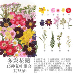 fleurs séchées multicolores naturelles variées feuilles séchées décor maison artisanat enfant autocollants journal