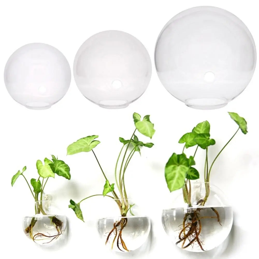 vase mural verre transparent moderne adhésif plante pierres colorées décoration intérieure 10 12 13