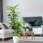 plantes artificielles bananier grandes feuilles vert modernes décoration intérieure hawaienne shop