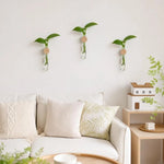 vase mural transparent minimaliste bois plante verte femmes