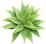 plante artificielle agave vert feuilles larges texture bois décorative extérieure pot argenté tropical mexicain