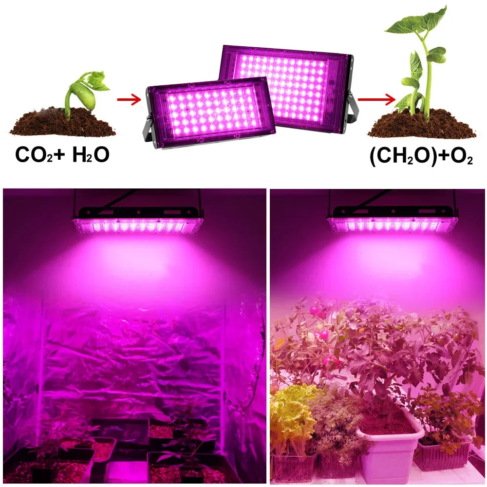 lampe led culture vegetale noire 100w 200w 300w 50w ip65 waterproof moderne tringle