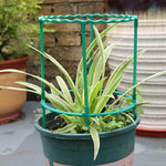 support plante spirale vert moderne clips assemblage facile jardin balcon vert