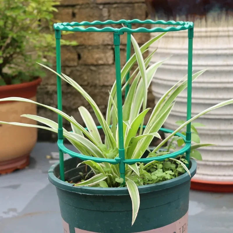 support plante spirale vert moderne clips assemblage facile jardin balcon vert