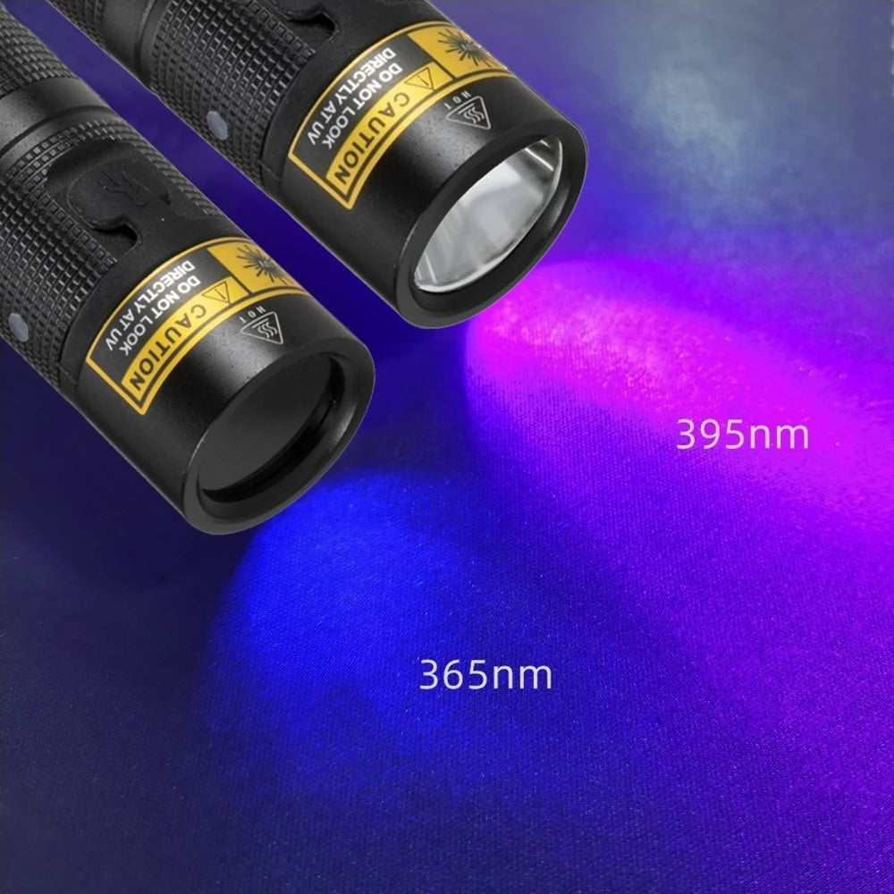 lampe torche uv 10w rechargeable lumière noire 365 405nm détecteur animaux billets minéraux led