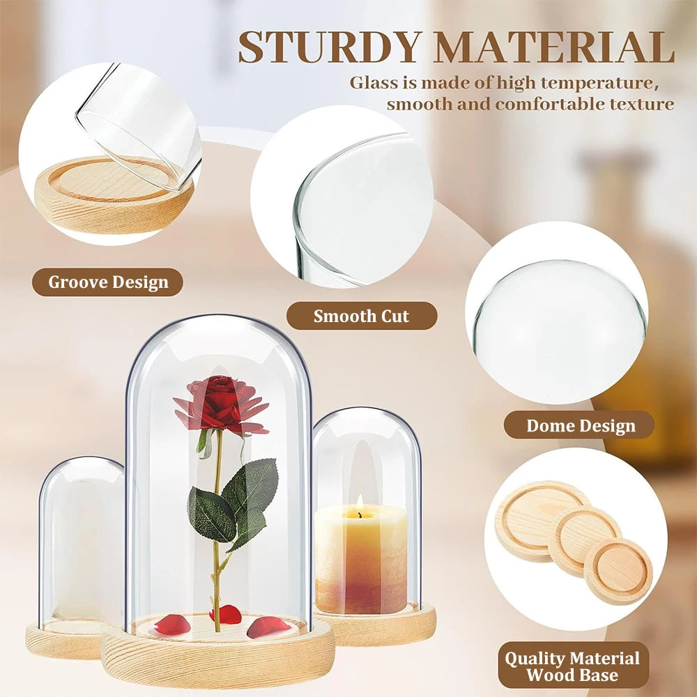 cloche verre transparent base bois jarre deco moderne minimaliste display centerpiece