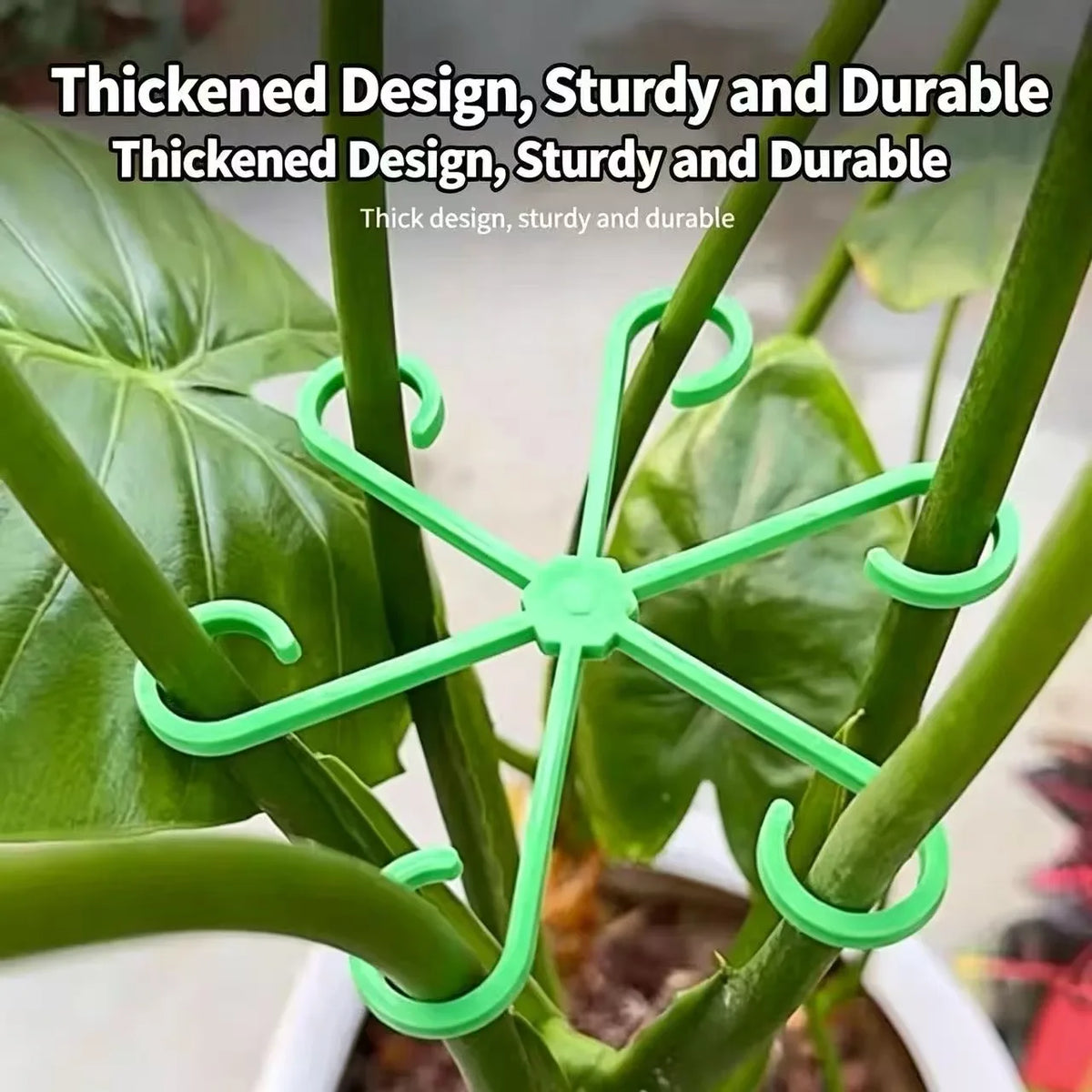 supports plantes intérieures modernes clips boucles tiges fleurs pot céramique terreau textures granuleuses minimalistes