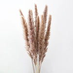 plumes pampas séchées blanches décorations fleurs naturelles rustiques mariage maison intérieur bouquet