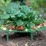 support plantes plastique vert grille rond utilitaire balcon pot fleur 8cm 12cm 18cm 30cm