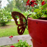 papillon ajouré rustique pot fleurs terracotta geraniums vintage extérieur jardinage