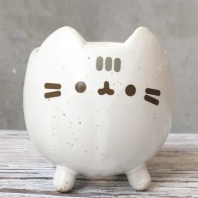 pots céramique argile succulentes dessin animé visage chat couleur beige rose bleuclair
