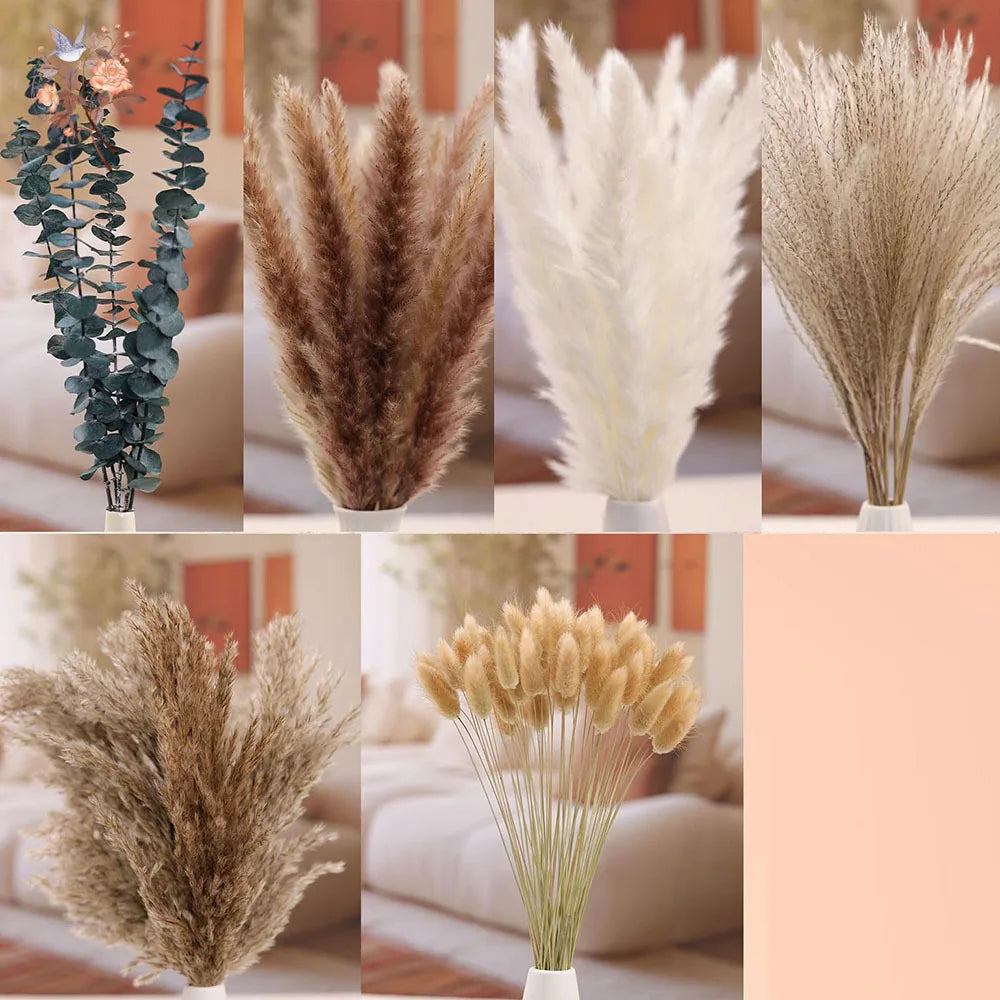 bouquet fleurs séchées eucalyptus roseau pampas beige blanc vert rustique décoration maison anniversaire mariage