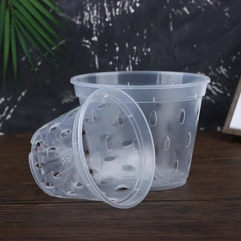 pots semis transparents perforés pratique plateau fleur verte plastique moderne