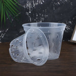 pots semis transparents perforés pratique plateau fleur verte plastique moderne