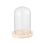 cloche verre transparent moderne base bois naturel boîte rangement fleurs minimalistes différentes tailles