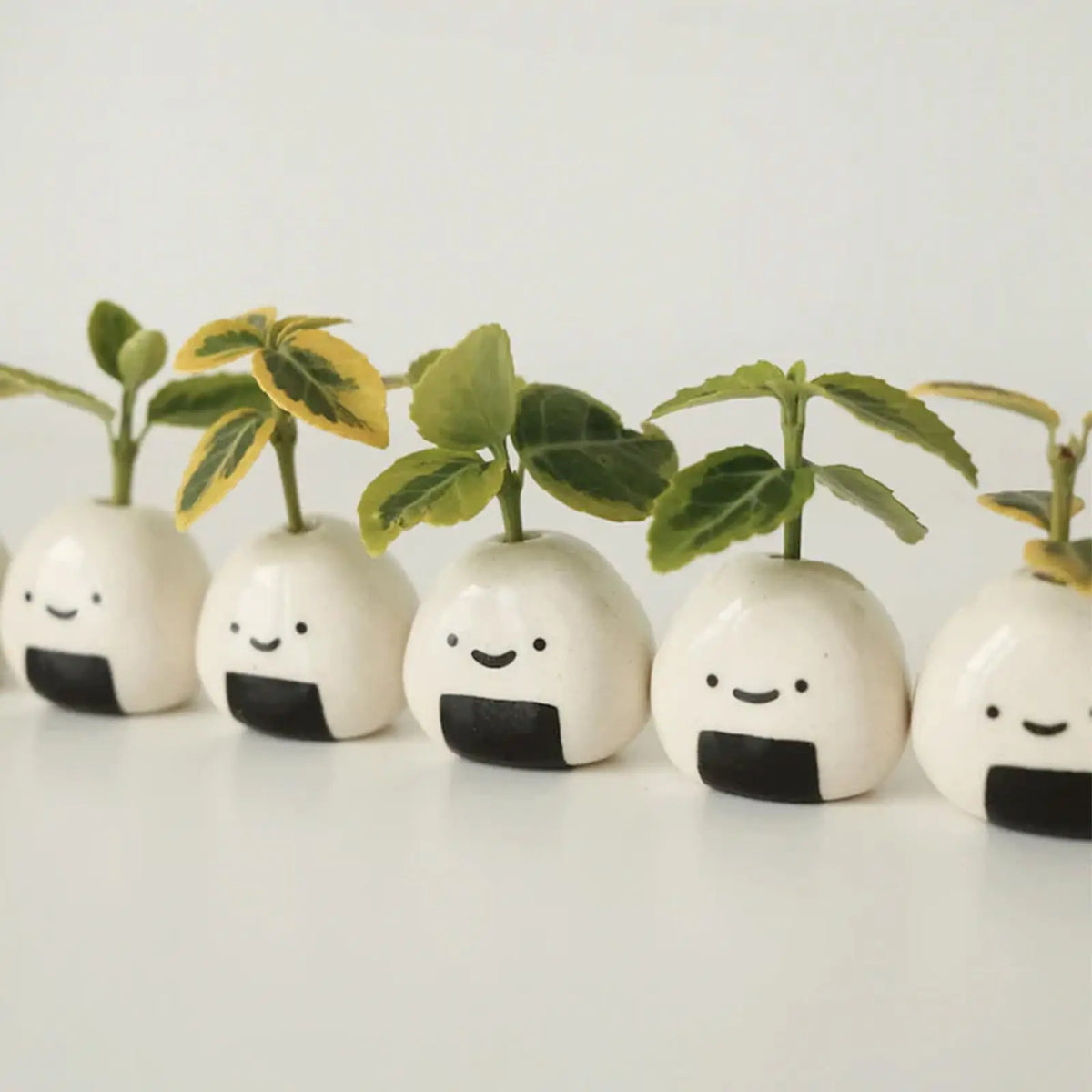 petit vase décoratif céramique blanche rond minimaliste fleurs séchées maison