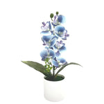 décoration intérieure orchidées artificielles fleurs blanches roses bleues jaunes modernes maison