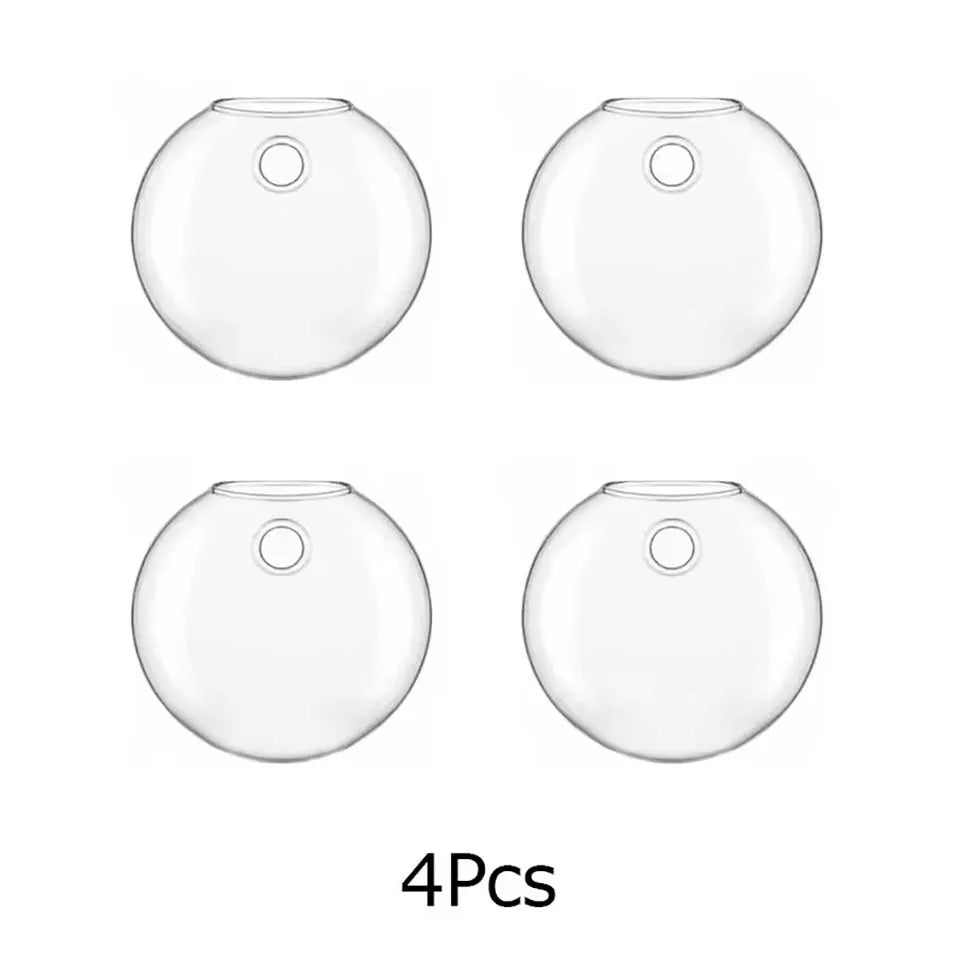 vases murals verre transparent modernes minimaux plante graine sable