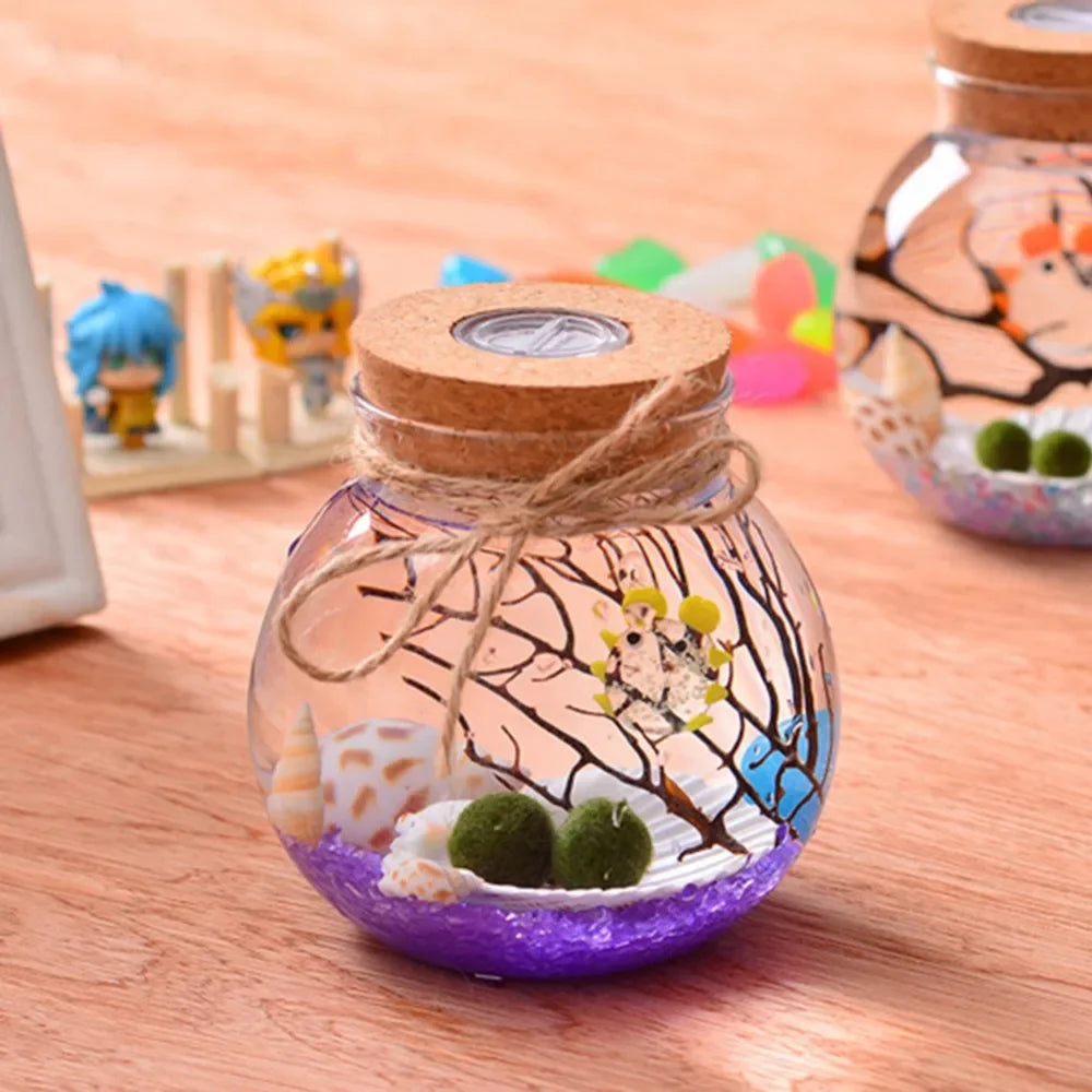 bocal verre transparent coquillages branches bouleaux figurine led colorée nocturne deco naturelle