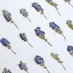 fleurs séchées bleues blanches décoration maison anniversaire baby shower pendaison crémaillère
