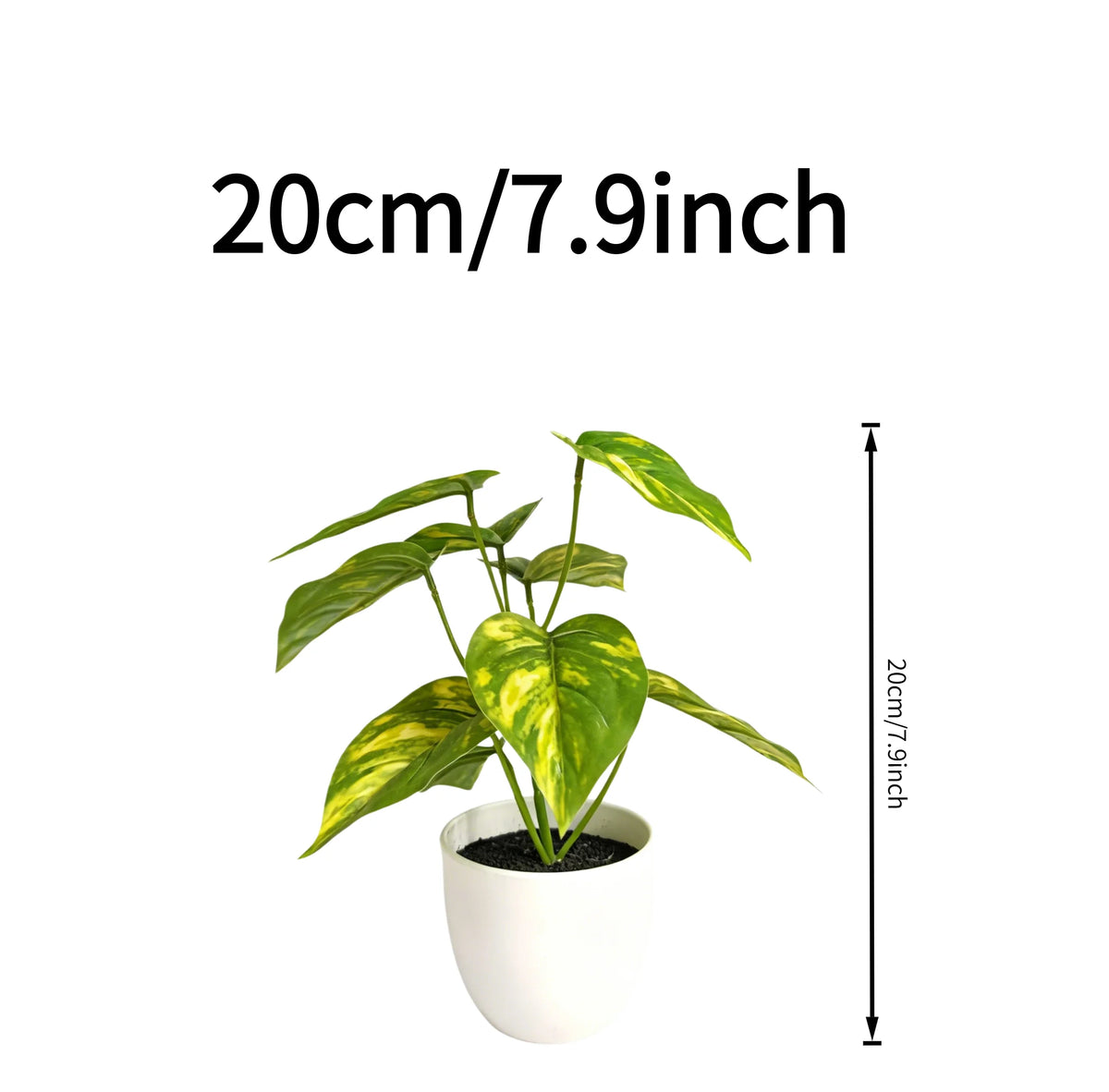 plante verte pot blanc 20cm décoration intérieure motifs jaunes