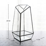 terramium verre transparent plante verte moderne naturel branchages terre inclusion