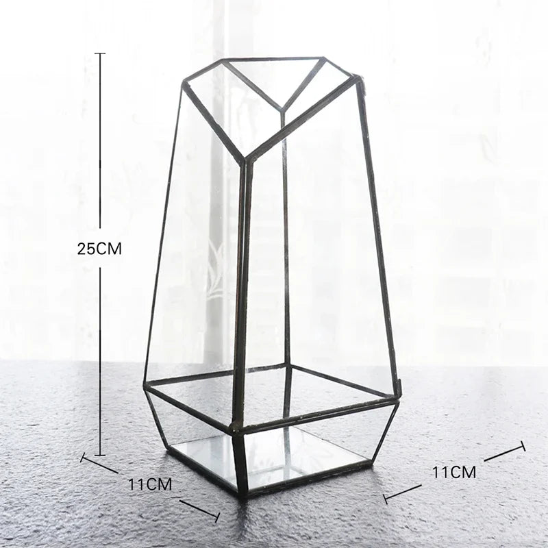 terramium verre transparent plante verte moderne naturel branchages terre inclusion