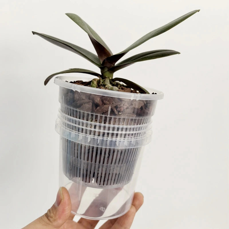Pot plante moderne auto arrosant transparent controle racines drainage ornemental fleuri