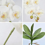 décoration intérieure orchidées artificielles blanc rose modernes 69cm hauteur anniversaire mariage
