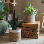 panier tissé main fibre naturelle vert clair beige rustique réutilisable respectueux environnement pliable rangement