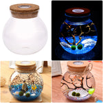 bocal verre transparent coquillages branches bouleaux figurine led colorée nocturne deco naturelle
