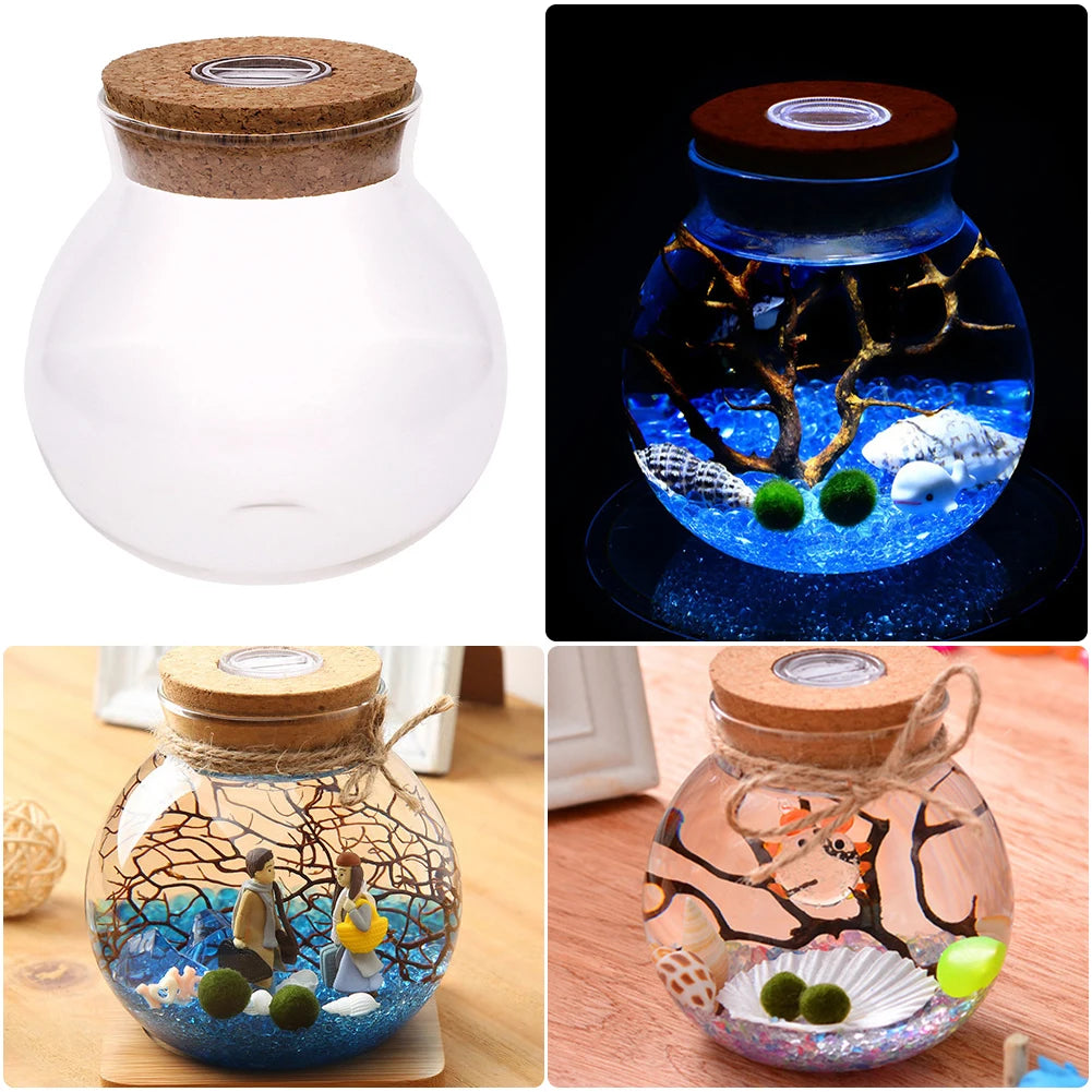 bocal verre transparent coquillages branches bouleaux figurine led colorée nocturne deco naturelle