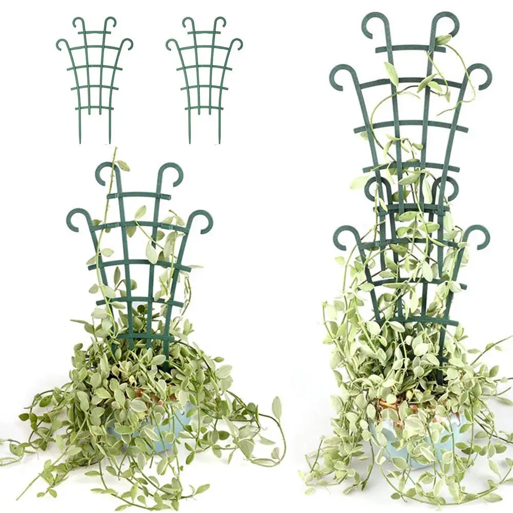supports plantes grimpantes vert grille moderne adhésif jardin extérieur décoration fixations