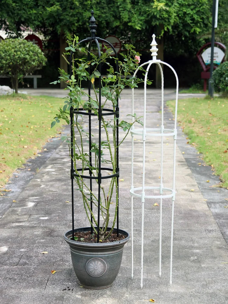 Support métallique personnalisable pour plantes dans un jardin