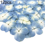 décoration intérieure fleurs artificielles couleurs variées motifs végétaux opaques bricolage coquilles téléphones