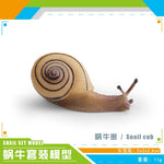 décoration miniature escargot coquille rayées réaliste couleur beige marron orange noir