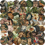 autocollants animaux forêt multicolores waterproof adhésifs unique illustration renard ours oiseaux 50pcs étanches portables