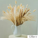 fleurs sèches plumes herbes naturelles décoration maison anniversaire mariage vases élégantes blanc marron fluffy