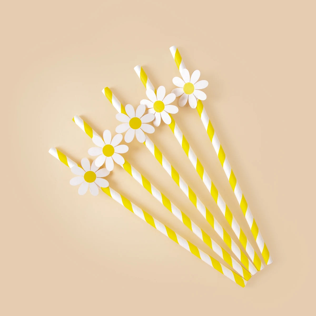 kit decoration anniversaire fleurs blanches accessoires table gâteau pailles sacs bonbons couronne festive