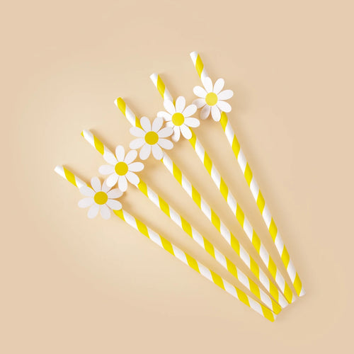 kit decoration anniversaire fleurs blanches accessoires table gâteau pailles sacs bonbons couronne festive