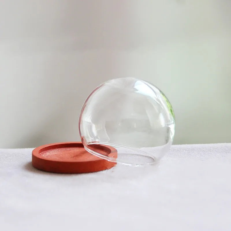 vase boule verre transparent base bois couvercle fleurs séchées