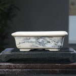 bacs plantes chinois paysage peint blanc opaque décoration intérieure pots fleurs