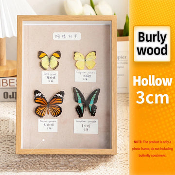 cadre bois naturel fleurs séchées plantes miniatures décoration murale minimaliste moderne