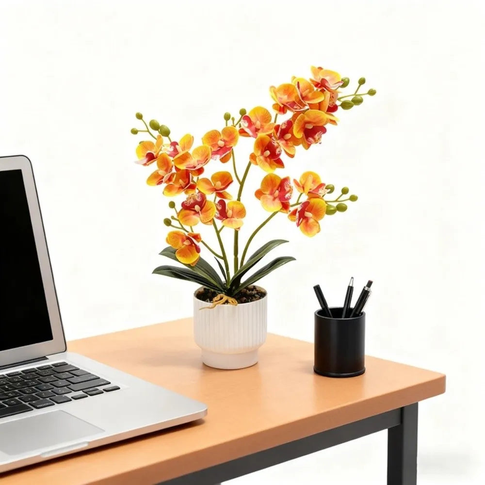 décoration murale orchidées artificielles fleurs douces moderne pot blancintérieur