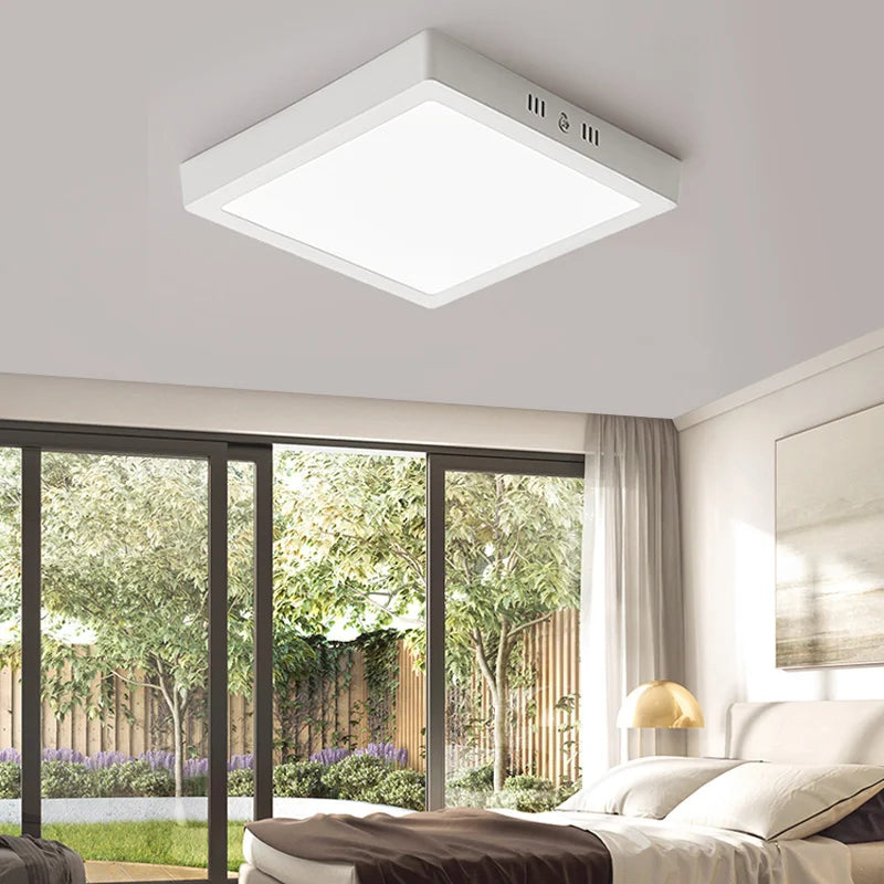 Plafonnier LED blanc froid éclairage intérieur