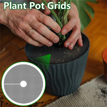 grille pot plante couverture protection sol prévention chat élastique fixe plante zz agrume ficus