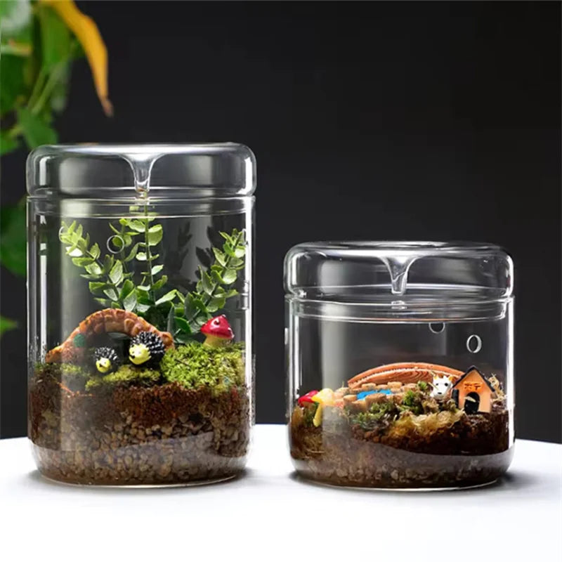 terrarium moderne transparent mousse gravier petite maison champignon figurine 12x12cm 12x17.5cm