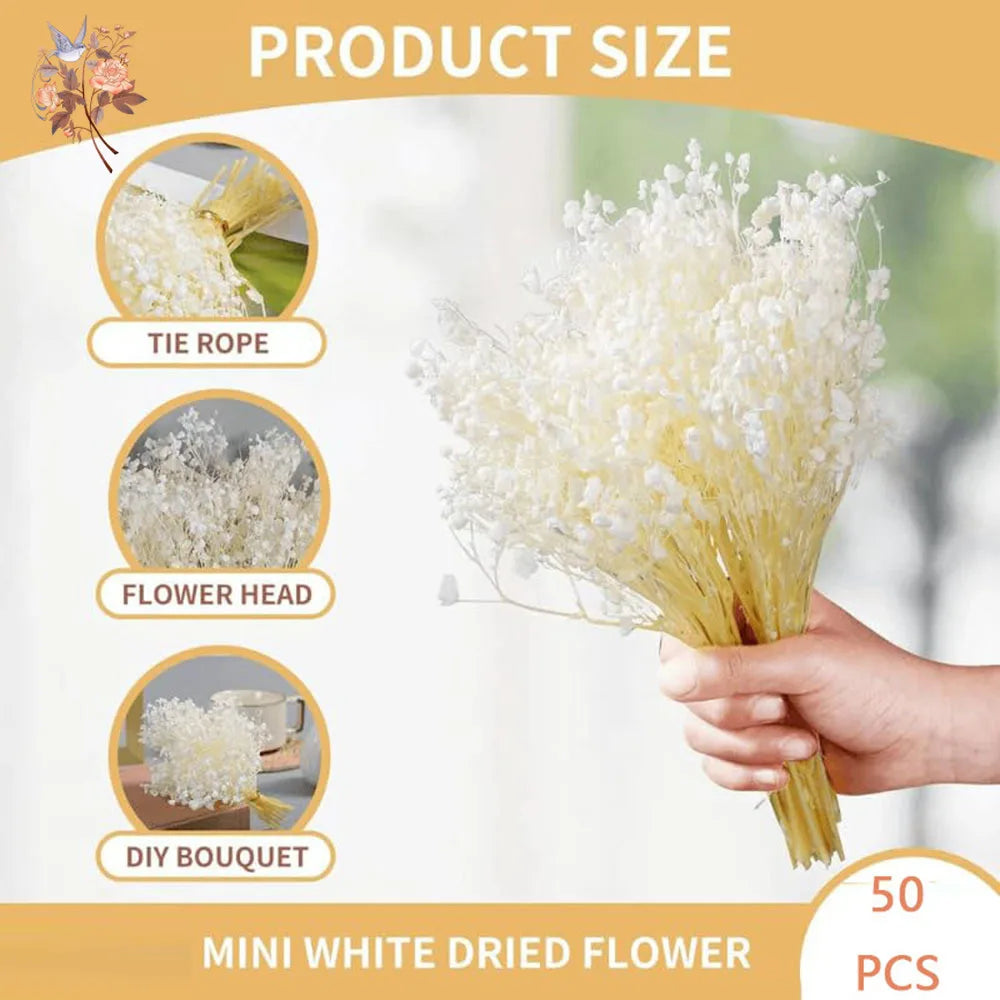 fleurs séchées blanches mini bouquet 50 pièces décoration naturelle artisanale maison mariage