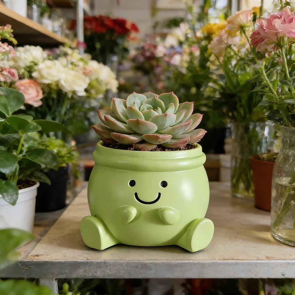 pot résine vert mignon plante succulente dessin animé décoration maison