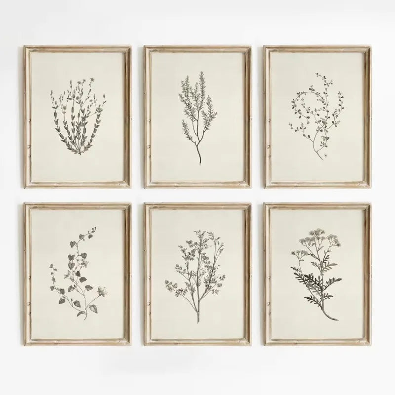 affiche plante simple minimaliste toile cadre bois illustration naturelle décoration murale salon chambre erotique